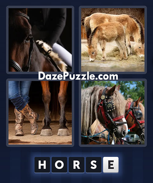 4 pics 1 word march 4 2025 daily puzzle answers