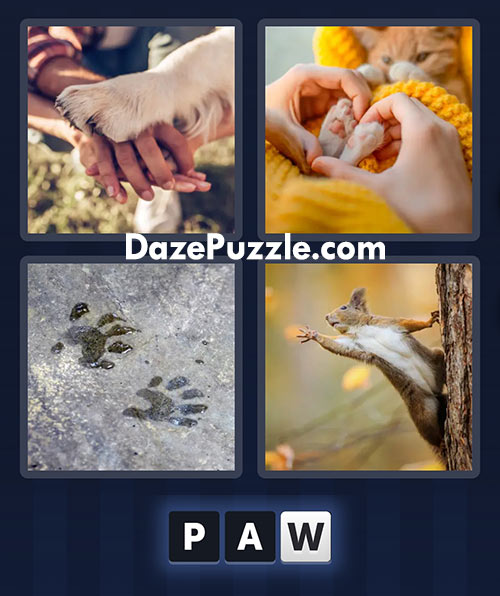 4 pics 1 word march 5 2025 daily puzzle answers