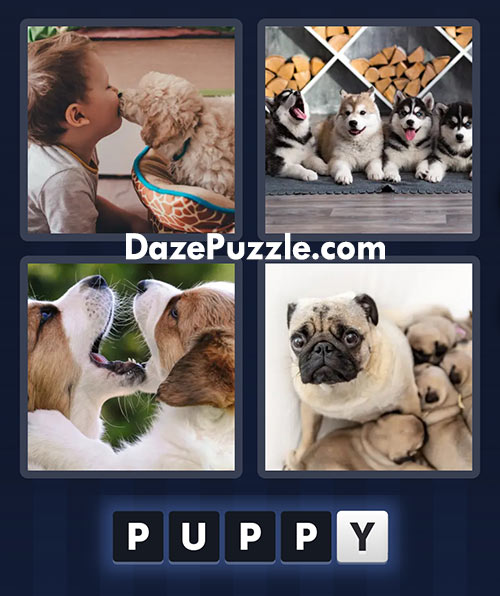 4 pics 1 word march 7 2025 daily puzzle answers