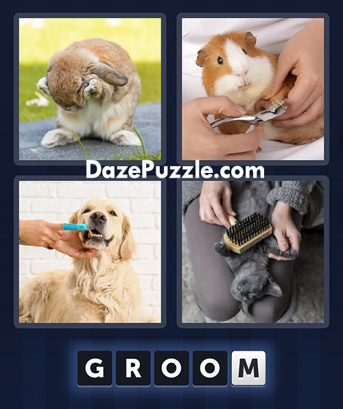 4 pics 1 word march 9 2025 daily bonus puzzle answers