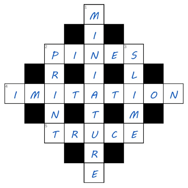 puzzle page diamond 8 march 2025 answer