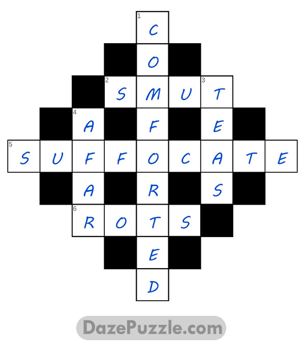 puzzle page diamond 26 march 2025 answer