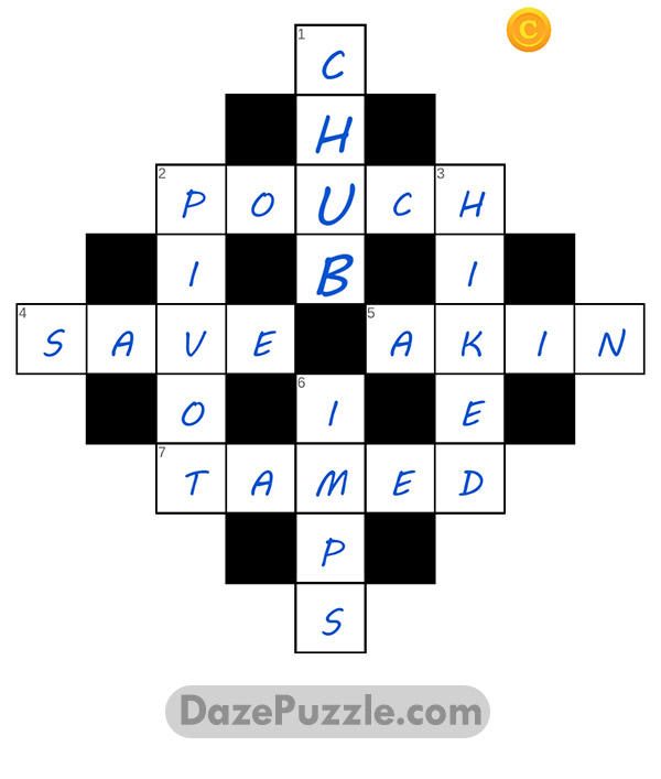 puzzle page diamond 5 march 2025 answer