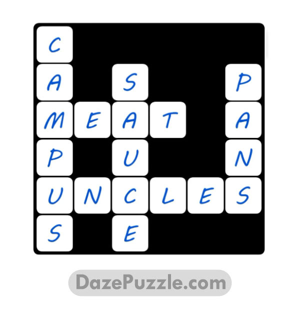 puzzle page word slide 27 march 2025 answer