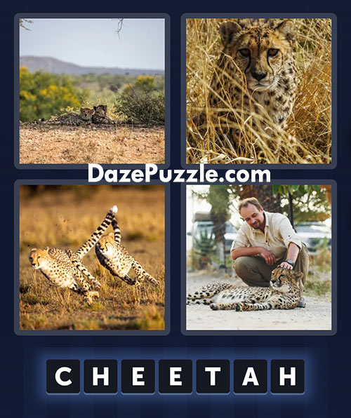 4 pics 1 word may 22 2025 daily puzzle answer