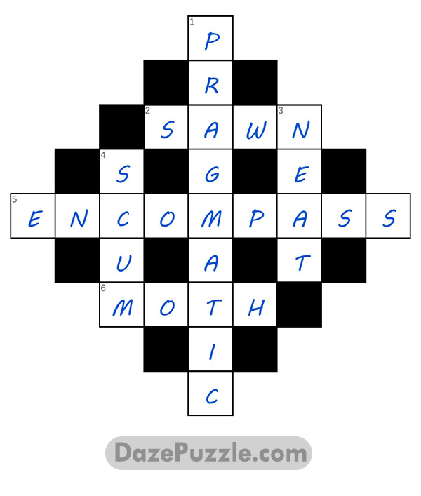puzzle page diamond 24 may 2025 answer