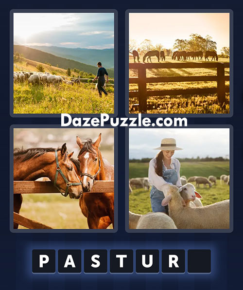 4 pics 1 word june 13 2025 daily bonus puzzle answer