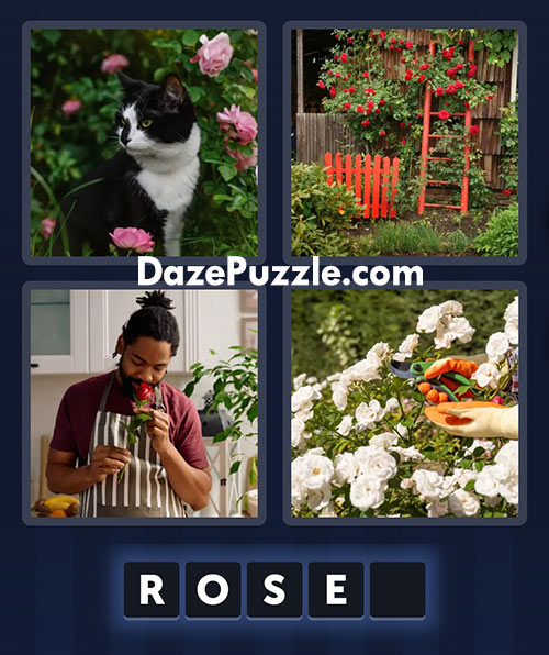 4 pics 1 word june 14 2025 daily puzzle answer
