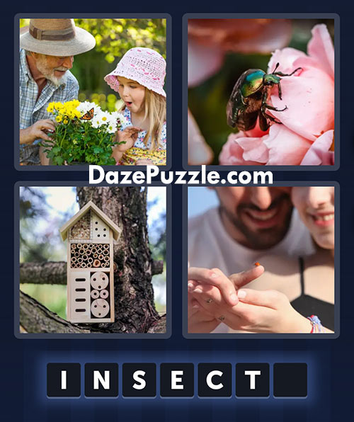 4 pics 1 word june 15 2025 daily puzzle answer