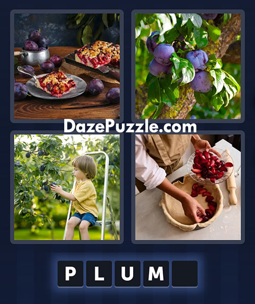 4 pics 1 word june 16 2025 daily puzzle answer
