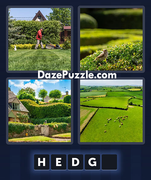 4 pics 1 word june 17 2025 daily puzzle answer