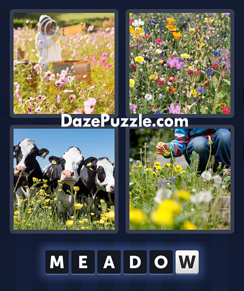 4 pics 1 word june 2 2025 daily puzzle answer