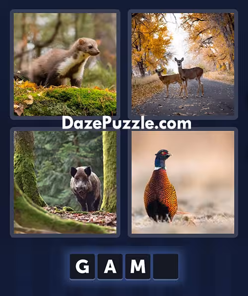4 pics 1 word june 23 2025 daily bonus puzzle answer