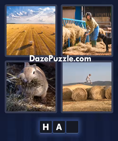 4 pics 1 word june 23 2025 daily puzzle answer