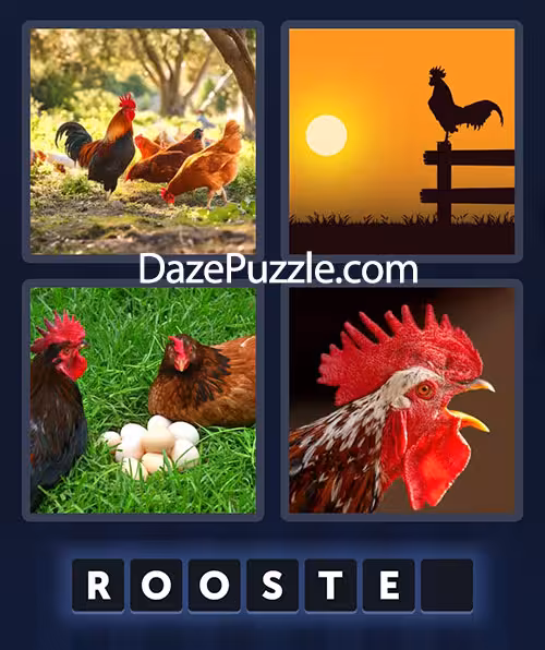 4 pics 1 word june 24 2025 daily puzzle answer
