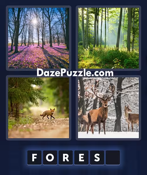 4 pics 1 word june 27 2025 daily bonus puzzle answer