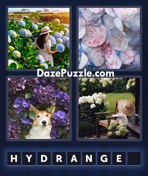 4 pics 1 word june 30 2025 daily bonus puzzle answer