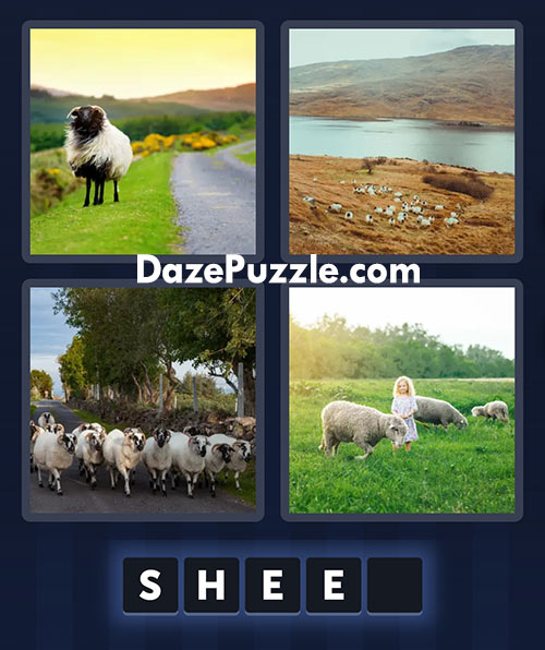 4 pics 1 word june 5 2025 daily puzzle answer