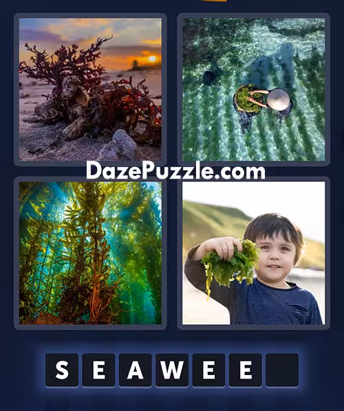 4 pics 1 word july 11 2025 daily bonus puzzle answer