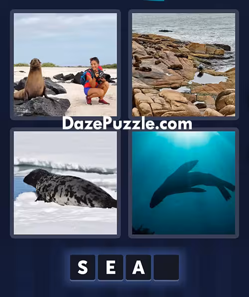 4 pics 1 word july 11 2025 daily puzzle answer