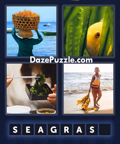 4 pics 1 word july 16 2025 daily bonus puzzle answer