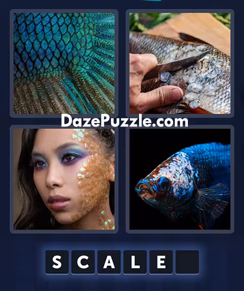 4 pics 1 word july 18 2025 daily puzzle answer