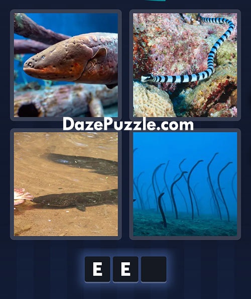 4 pics 1 word july 19 2025 daily puzzle answer