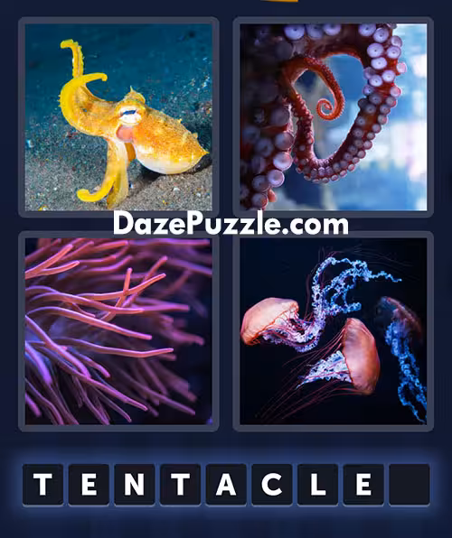 4 pics 1 word july 2 2025 daily bonus puzzle answer