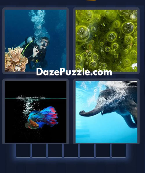 4 pics 1 word july 20 2025 daily puzzle answer