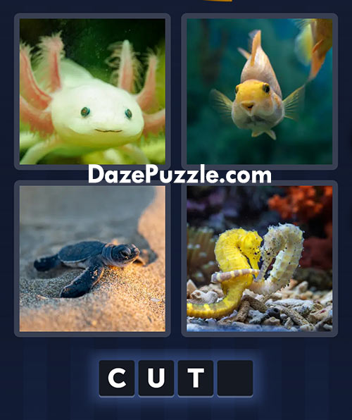 4 pics 1 word july 24 2025 daily bonus puzzle answer