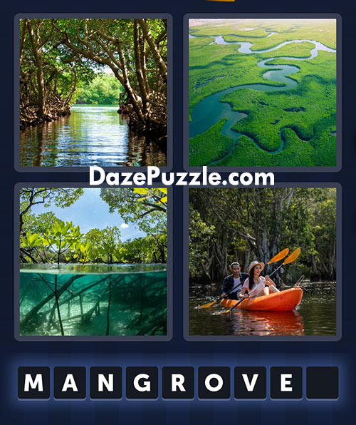 4 pics 1 word july 30 2025 daily bonus puzzle answer