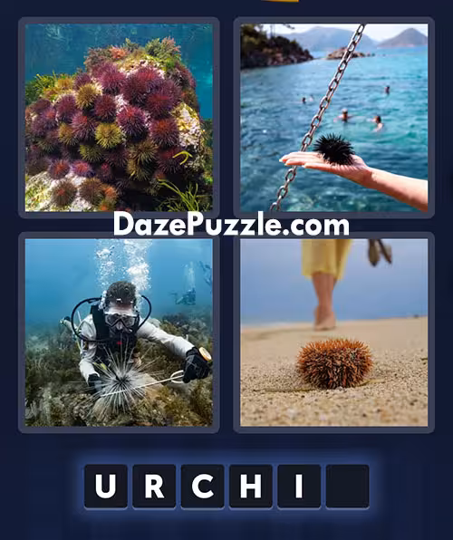 4 pics 1 word july 4 2025 daily bonus puzzle answer
