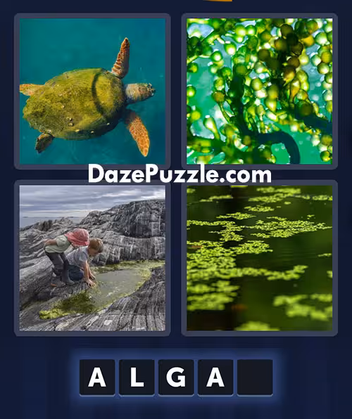 4 pics 1 word july 6 2025 daily bonus puzzle answer