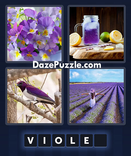 4 pics 1 word august 10 2025 daily bonus puzzle answer