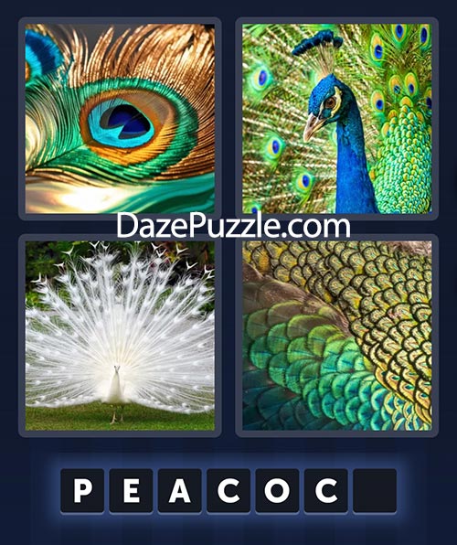 4 pics 1 word august 11 2025 daily bonus puzzle answer