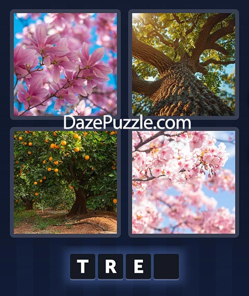 4 pics 1 word august 11 2025 daily puzzle answer