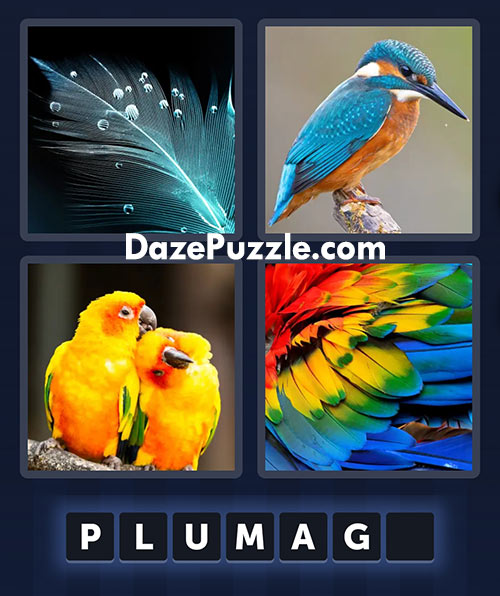 4 pics 1 word august 14 2025 daily bonus puzzle answer