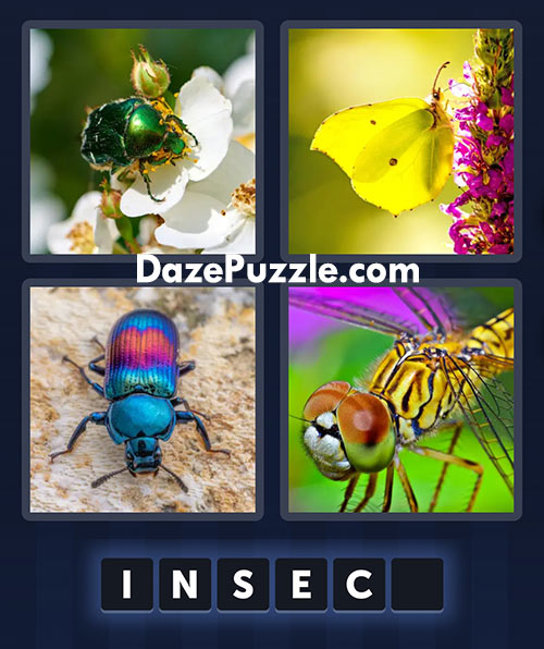 4 pics 1 word august 24 2025 daily puzzle