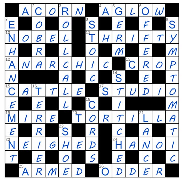 puzzle page challenger 24 august 2025