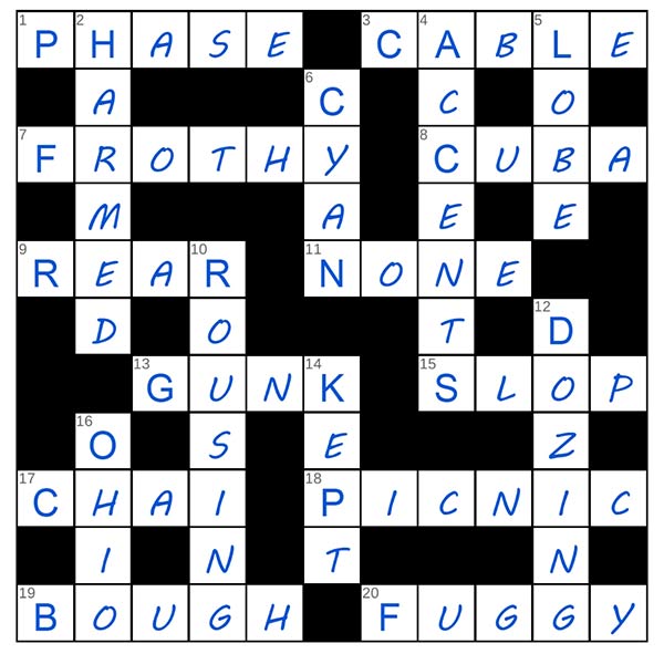 puzzle page crossword 20 august 2025