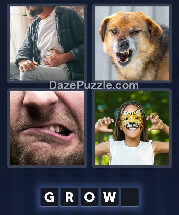 4 Pics 1 Word November 26 2025 Daily Bonus Puzzle