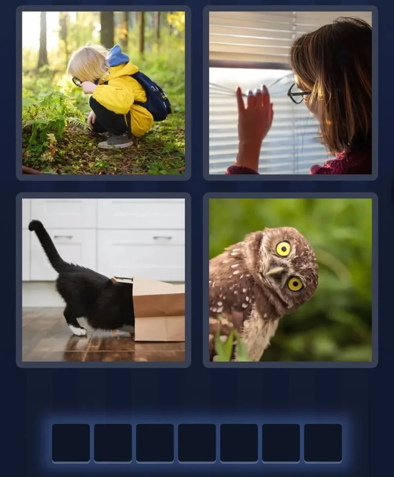 4 Pics 1 Word January 12 2026 Daily Bonus Puzzle