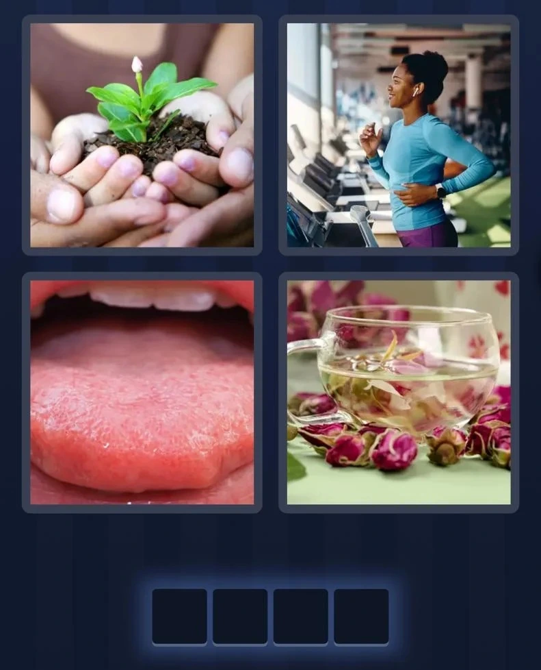 4 Pics 1 Word January 14 2026 Daily Bonus Puzzle