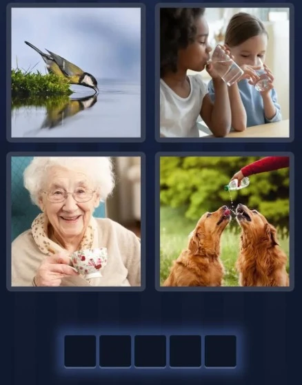 4 Pics 1 Word January 18 2026 Daily Puzzle