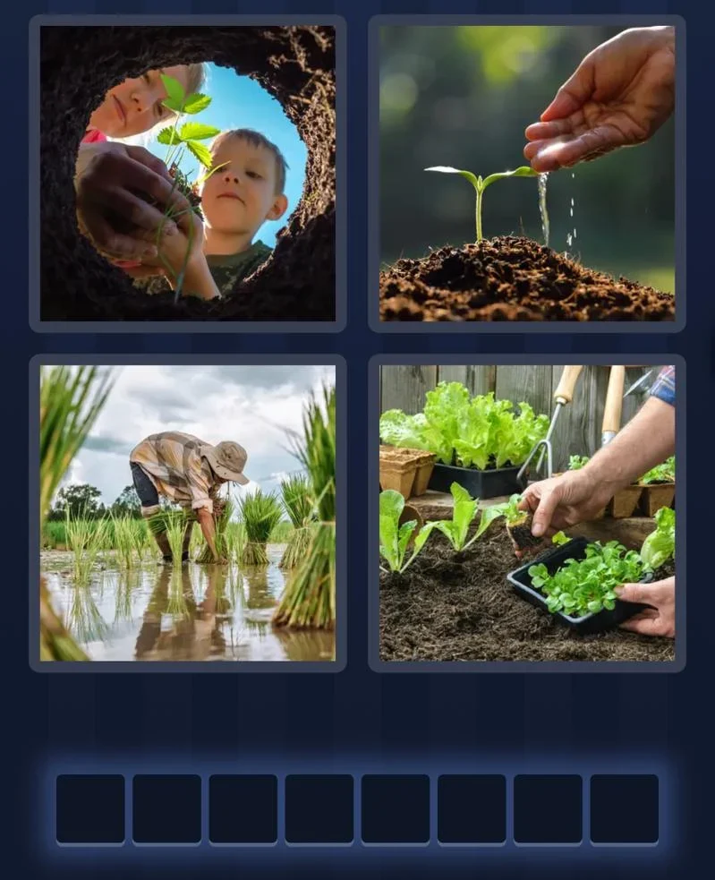 4 Pics 1 Word January 21 2026 Daily Puzzle
