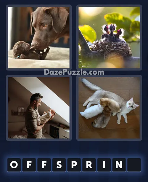 4 Pics 1 Word January 28 2026 Daily Bonus Puzzle