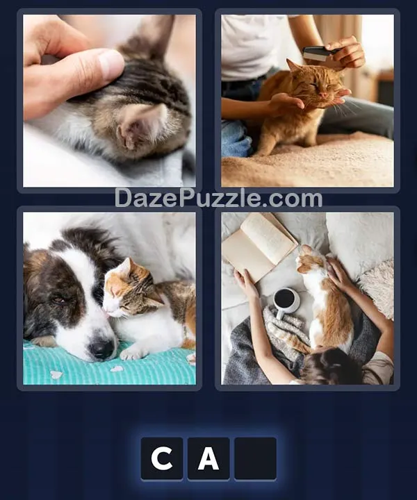 4 Pics 1 Word February 13 2026 Daily Puzzle