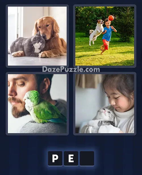 4 Pics 1 Word February 22 2026 Daily Puzzle