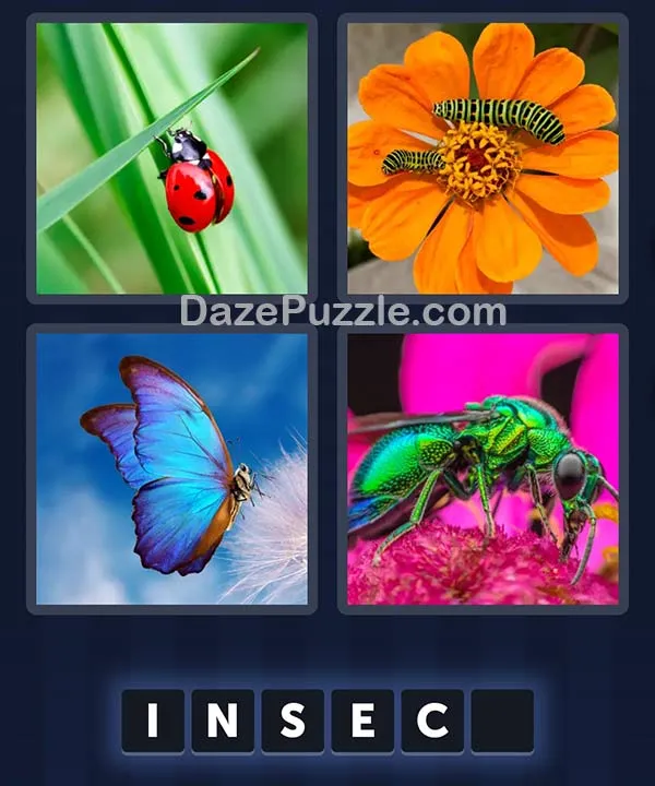 4 Pics 1 Word April 1 2026 Daily Bonus Puzzle
