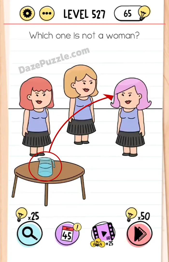 Brain Test Tricky Puzzles Level 527